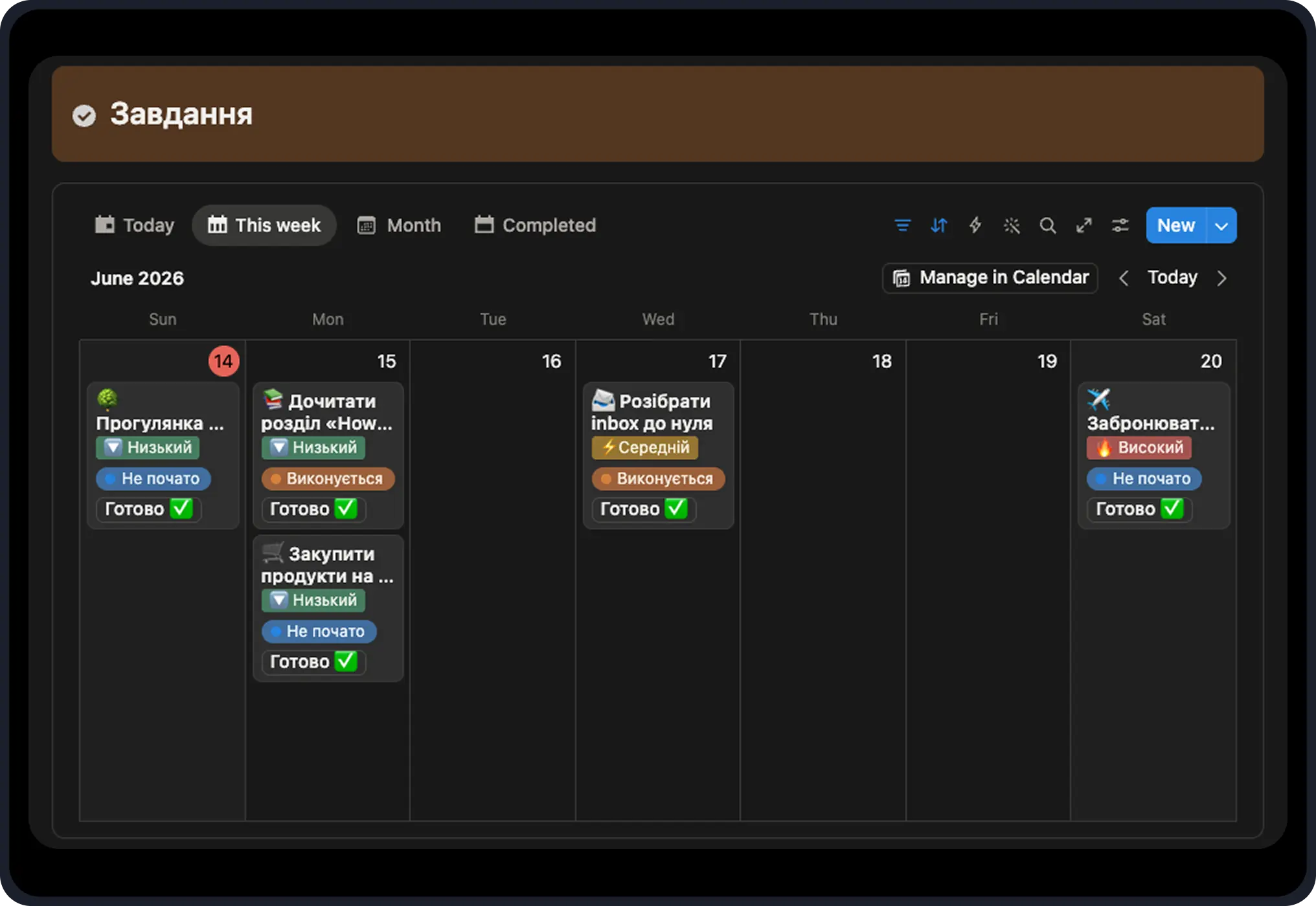 weekly task plan